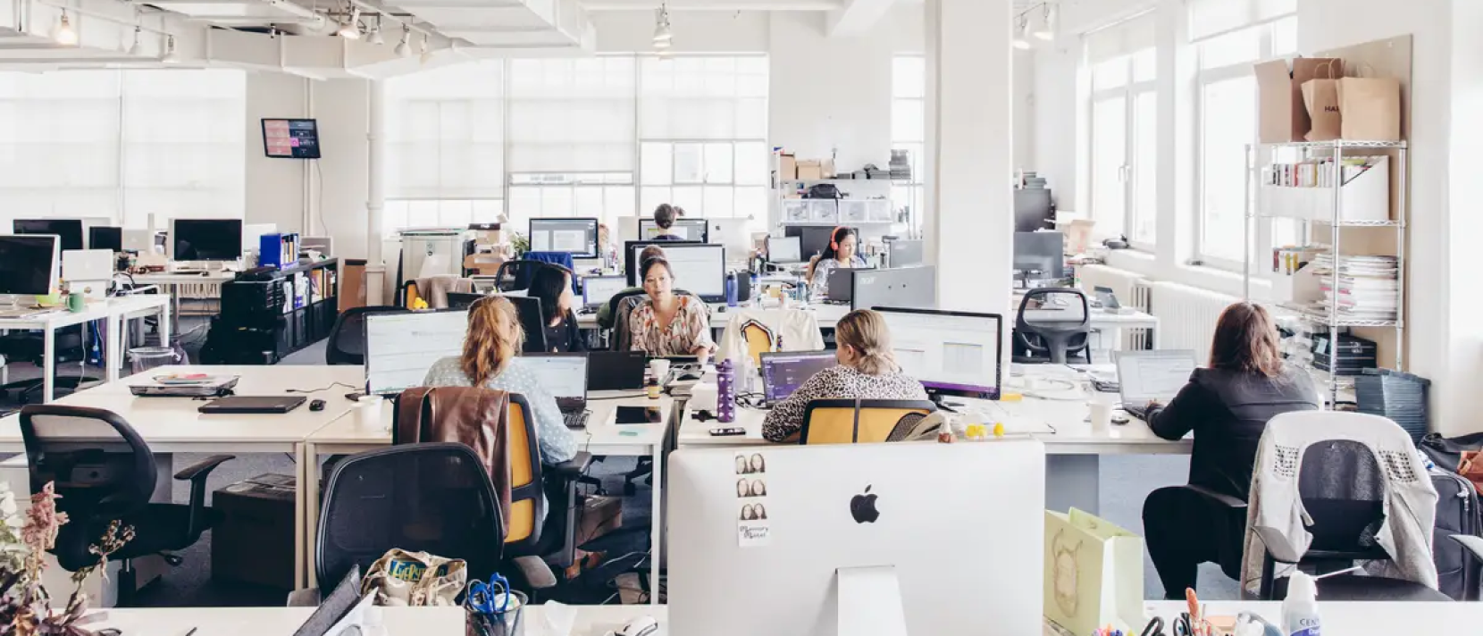 Why Use NetSuite for Growing Companies