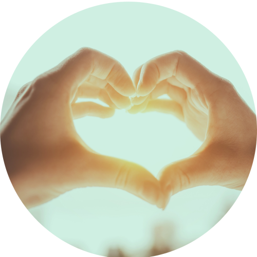 Website   Charity   Green heart hands